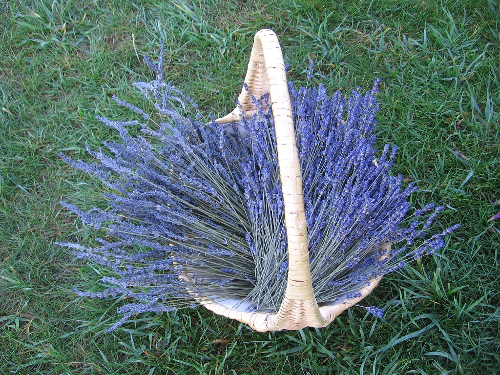 Lavender Basket